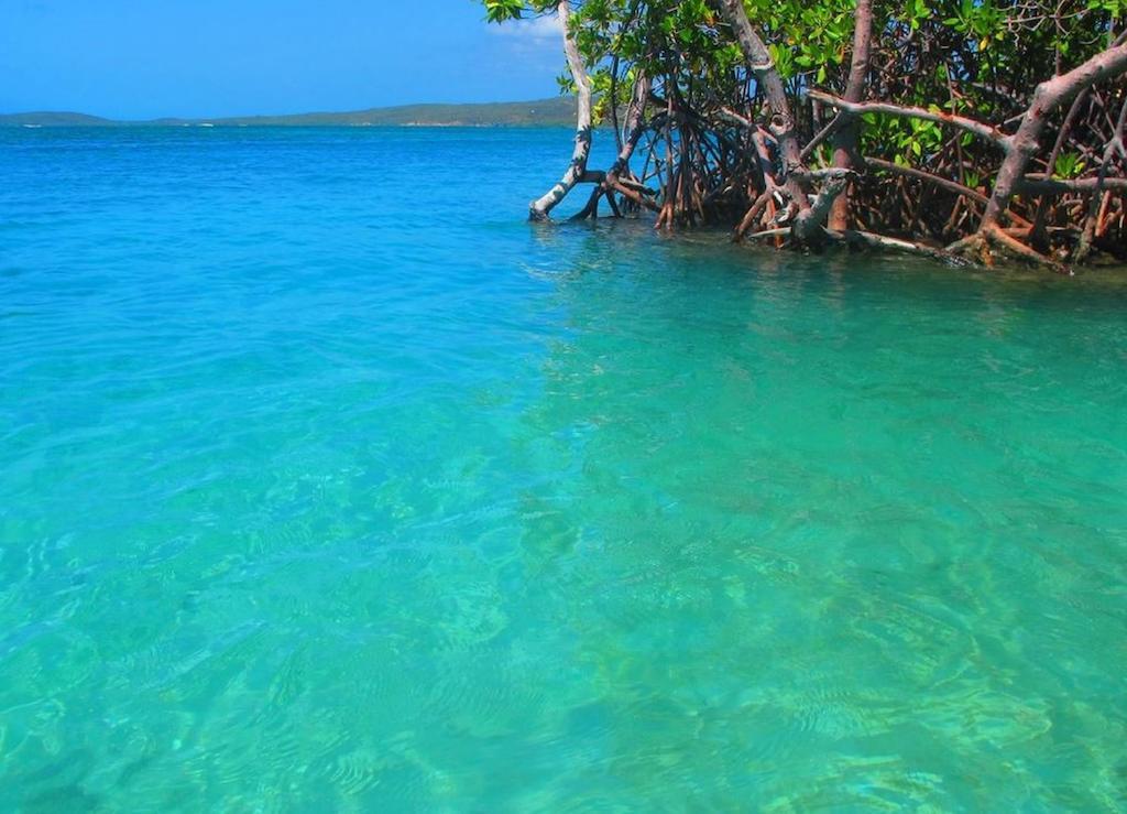 Parador Guanica 1929 エクステリア 写真